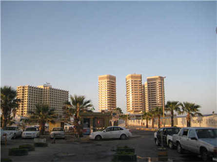 遼寧那里能賣到雷蒙機